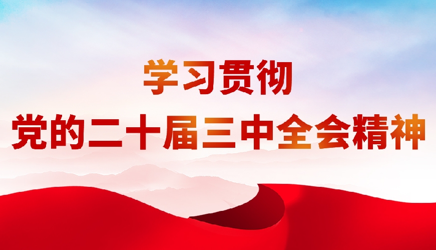 學(xué)習(xí)貫徹黨的二十屆三中全會(huì)精神